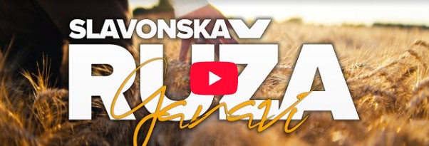 Kadar iz spota Slavonska ruža